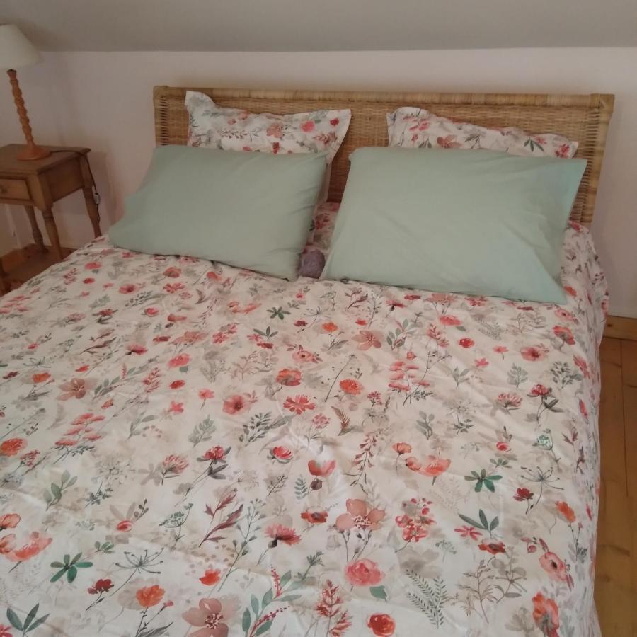 Les Dames De La Saugiat Bed & Breakfast Le Fied Bagian luar foto