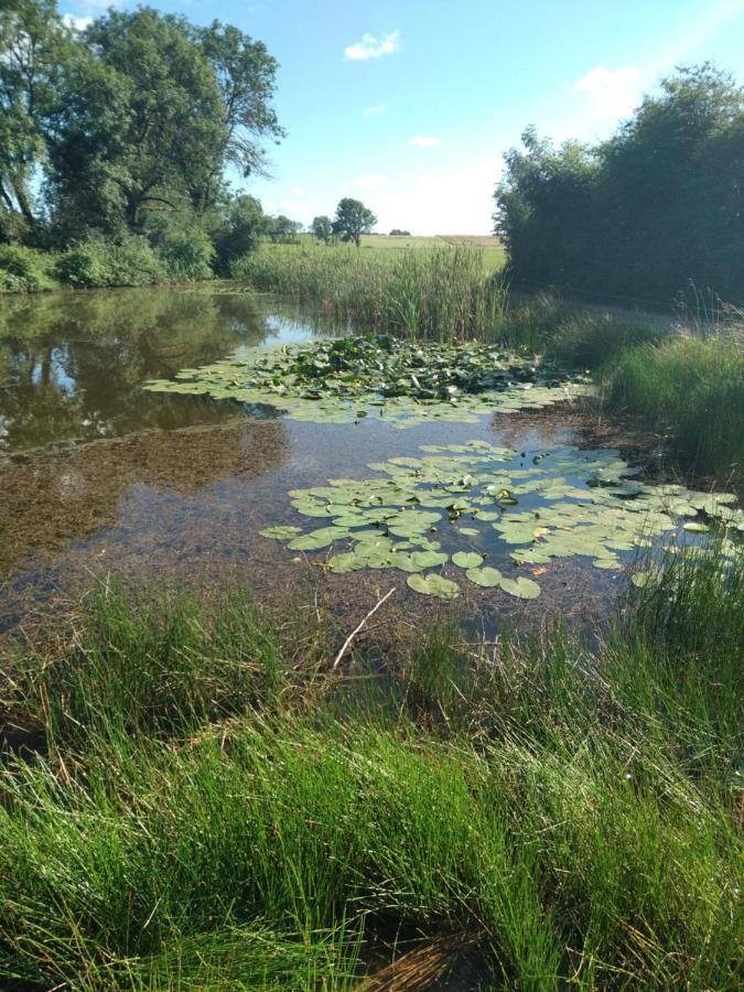 Les Dames De La Saugiat Bed & Breakfast Le Fied Bagian luar foto